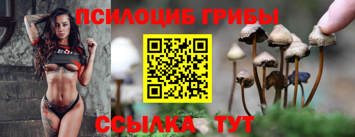 Галлюциногенные грибы Cubensis  Вход с VPN  Галлюциногенные грибы Psilocybine cubensis  Серпухов 